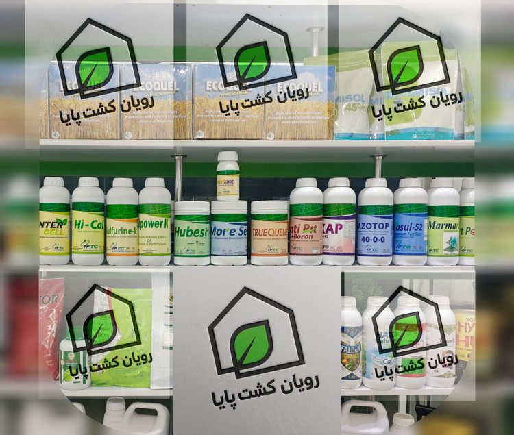 جلبک اردنی مارمارین یک لیتری