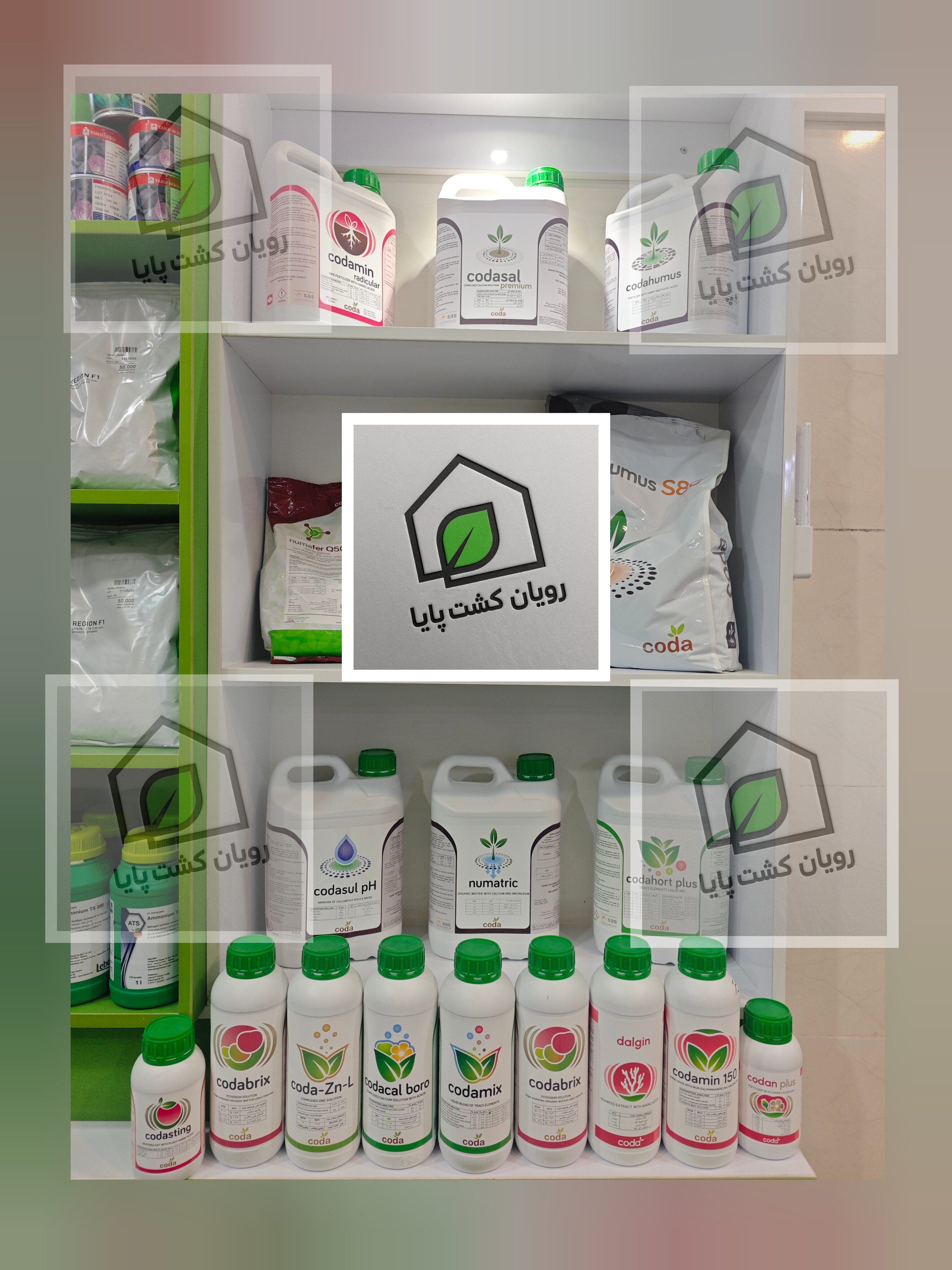کداسال پرمیوم 5 لیتری